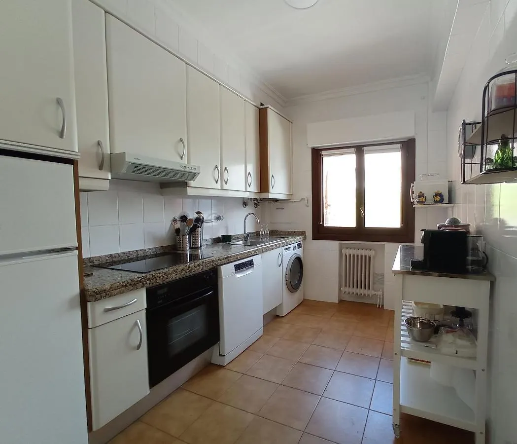 Easo Terrace Apartment Free Private Parking And Air Conditioning Σαν Σεμπαστιάν